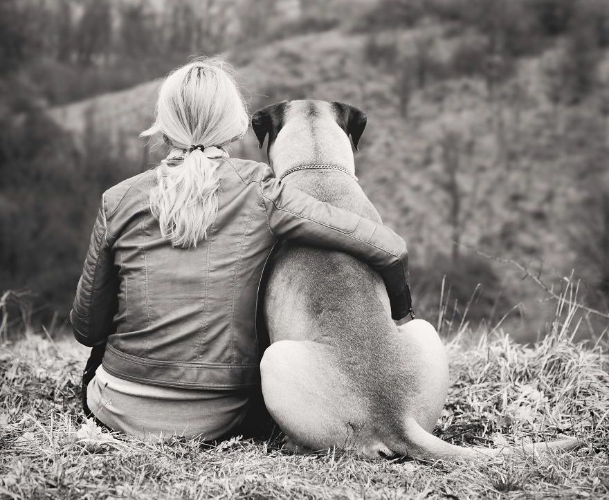 Loss of a Dog: Understanding the 7 Common Emotional Stages That Owners Experience