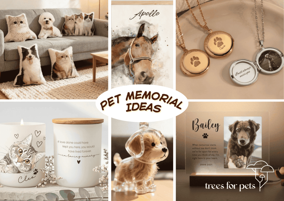 Pet Memorial Ideas That Reflect Your Pet’s Personality