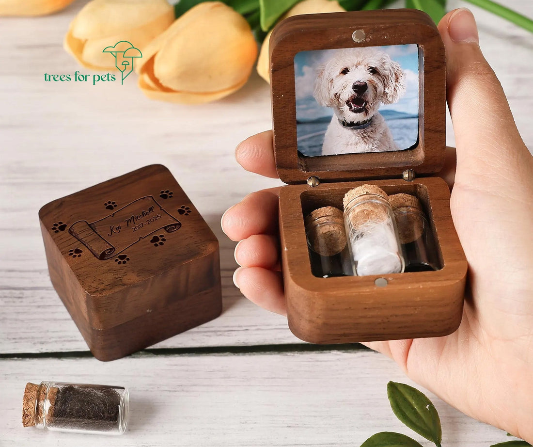 dog cremation ashes