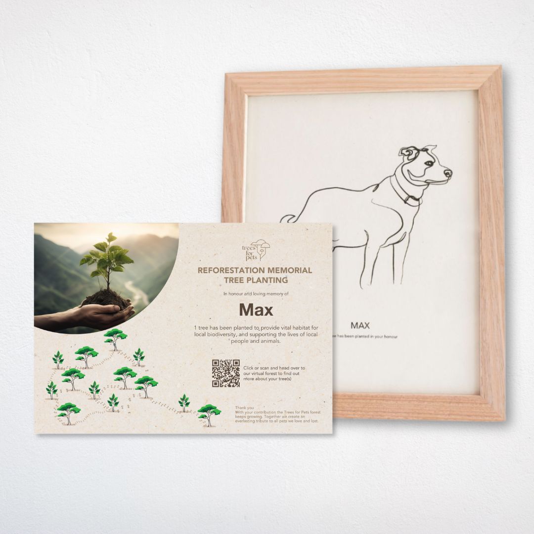 pet memorial frames
