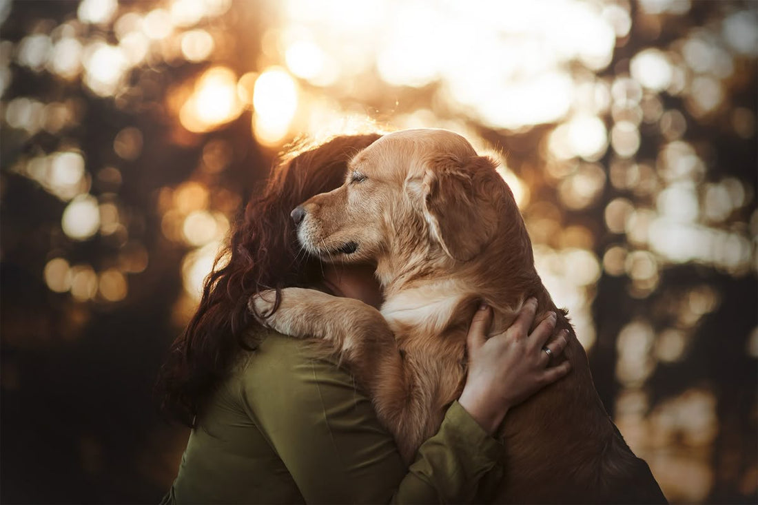 Pet Memorial Gifts Australia: Local Trees, Plaques & Framed Tribute Options
