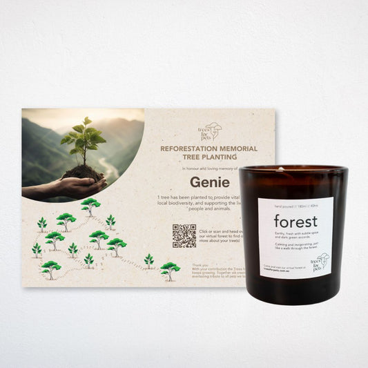 Pet Memorial Tree + Forest Candle