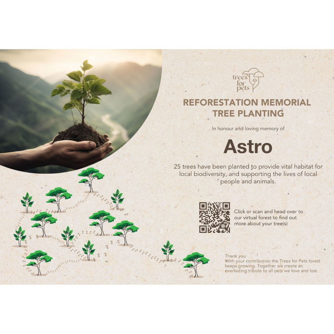 Pet Memorial Tree Grove (10 - 500 Trees)