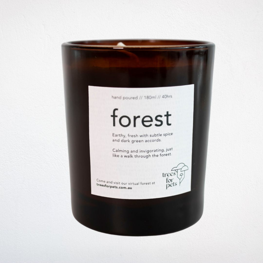 Pet Memorial Tree + Forest Candle