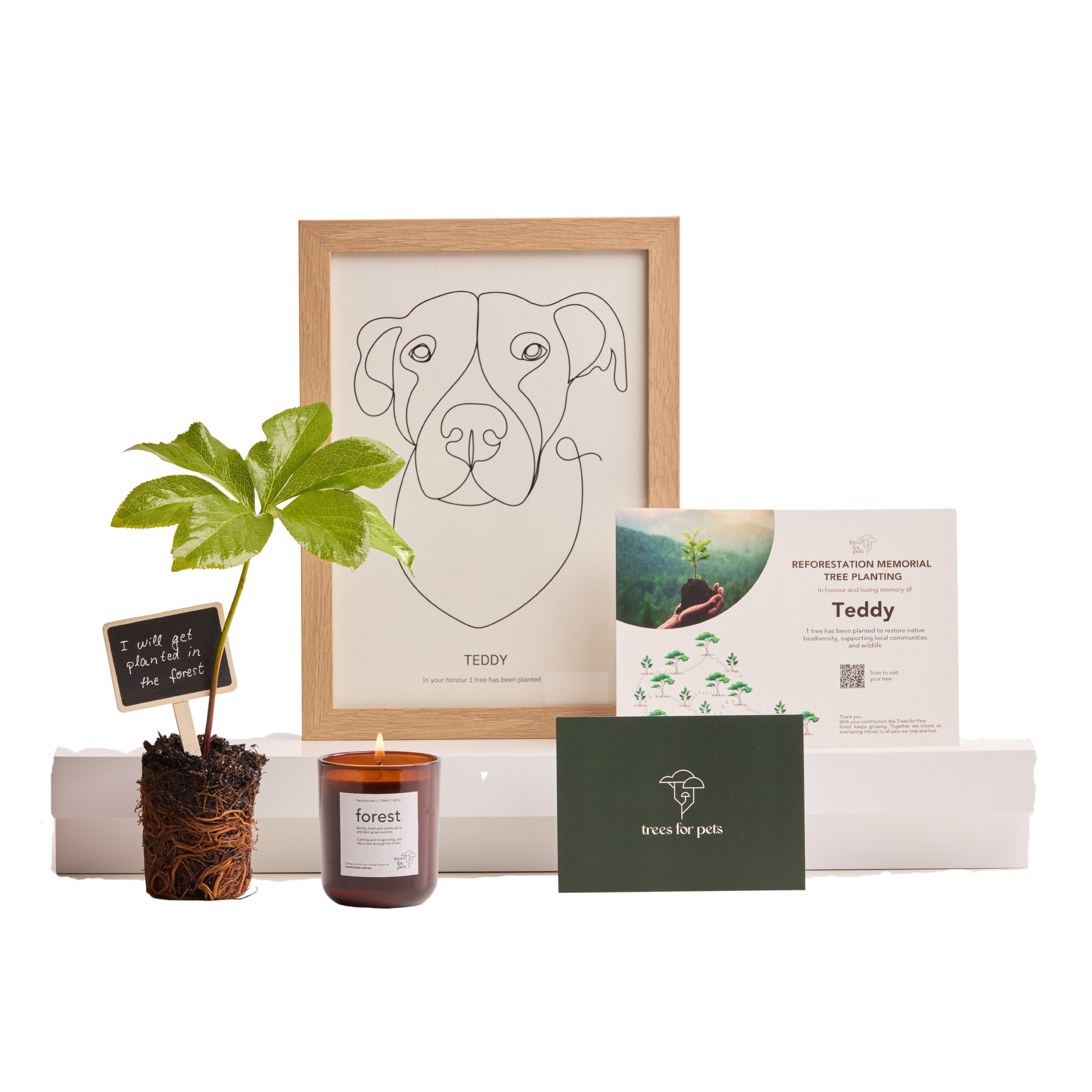 Pet loss gift bundle with memorial tree, pet portrait, certificate, candle, and gift box