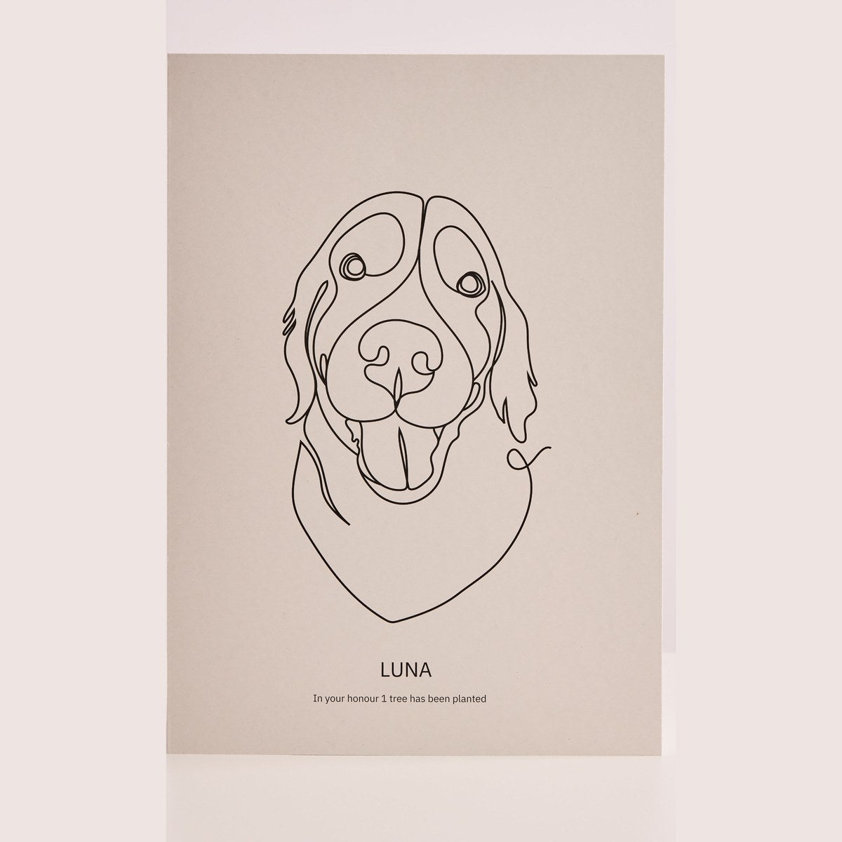 Pet portrait